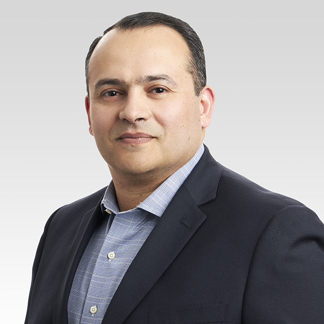 Waleed H. Hassanein, M.D.